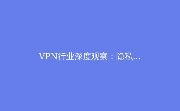 VPN行业深度观察：隐私革命、地缘博弈与未来技术趋势
