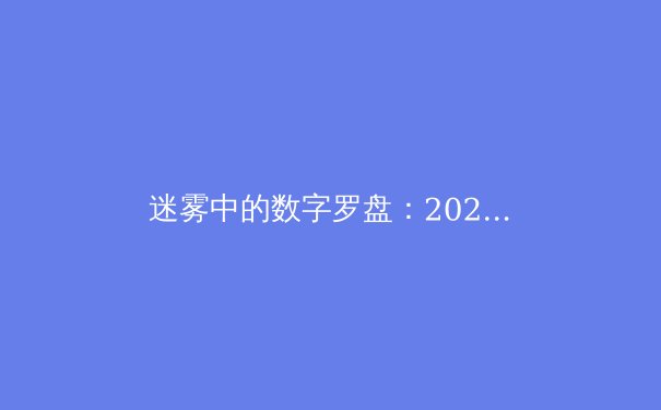 迷雾中的数字罗盘：2024年VPN资讯深度解析与前瞻洞察