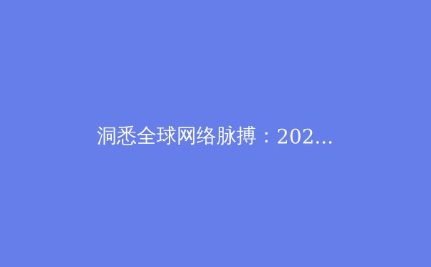 洞悉全球网络脉搏：2024年VPN技术演进与合规应用深度解读