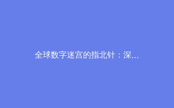 全球数字迷宫的指北针：深度解读VPN行业动态与未来趋势 - 3
